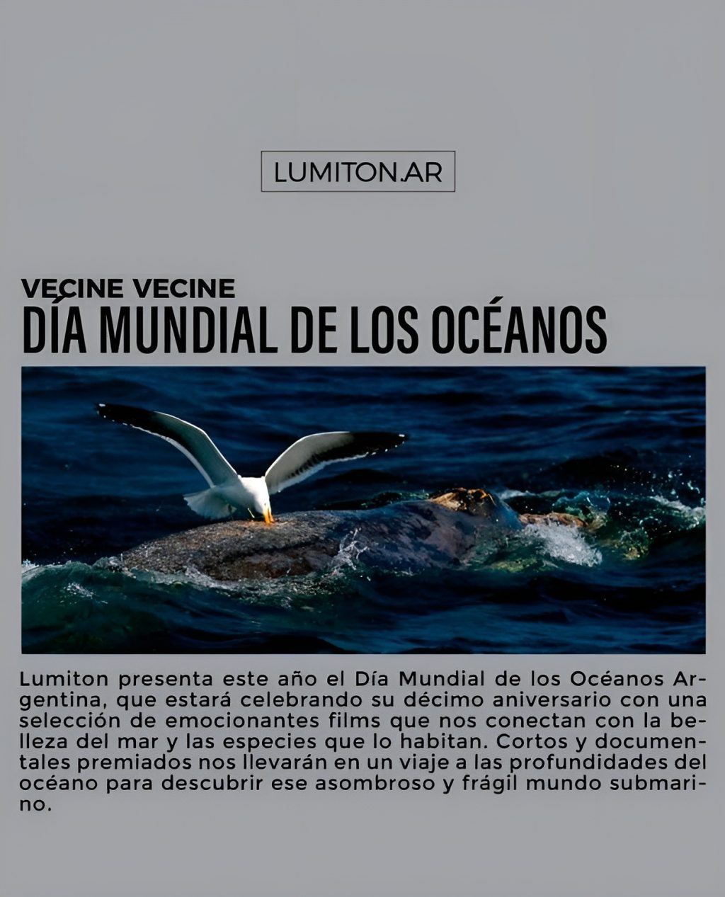 DÍA MUNDIAL DE LOS OCÉANOS