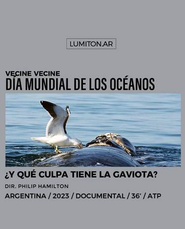 DÍA MUNDIAL DE LOS OCÉANOS