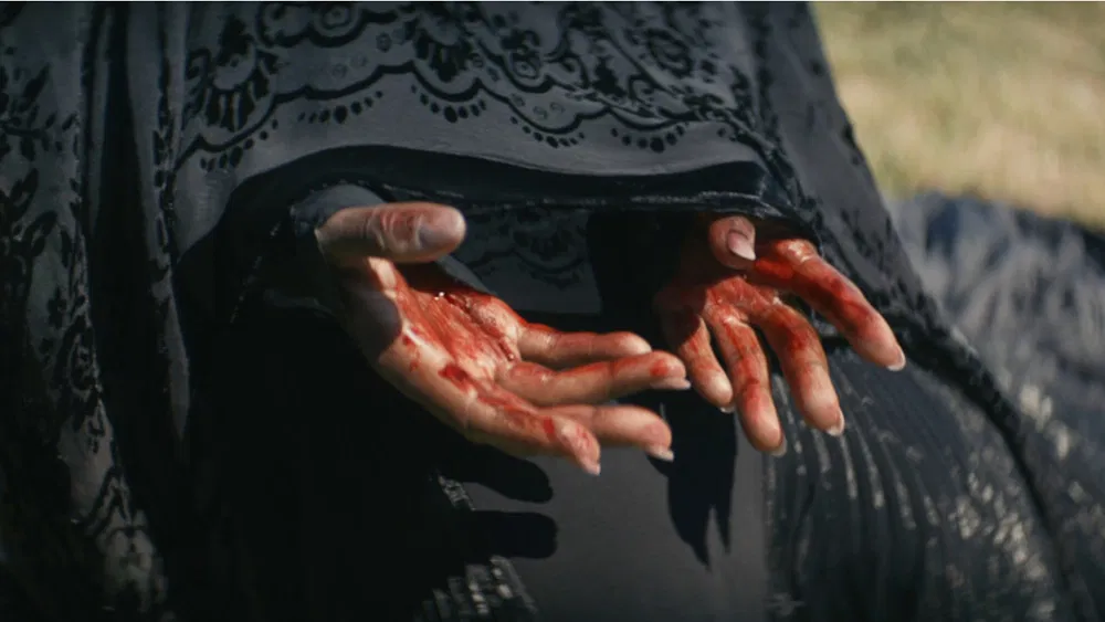 La mujer de las sombras